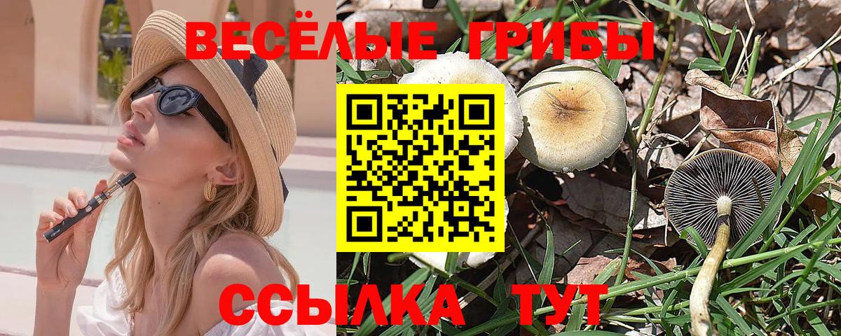Галлюциногенные грибы Psilocybine cubensis Сызрань
