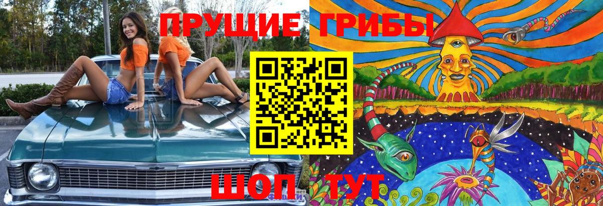 дарнет шоп  Псилоцибиновые грибы прущие грибы  Вход с VPN  Сызрань 
